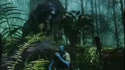 Avatar Foley & Sound Effects