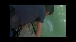 Jaws Cage Attack..mov