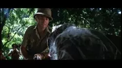 Indiana Jones - Raiders of the Lost Ark