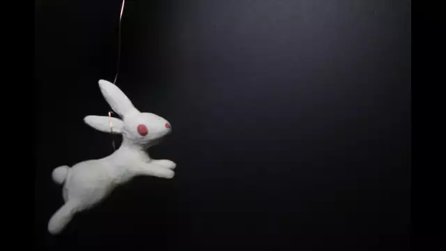 Claymation video with a rabbit