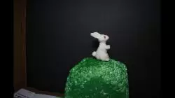 Claymation video with a rabbit
