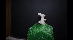 The Rabbit the Jumped Over the Moon
