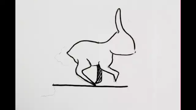 Rabbit Hand Drawn