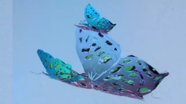 Butterflies (Version 2)