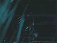 FMP initial inspiration