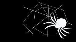 Sam Leighton - Spider Ident