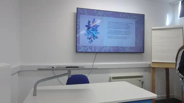 Q70EDADY1 - FMP Art Presentations - 6th March 2025 - Phoebe McDowell