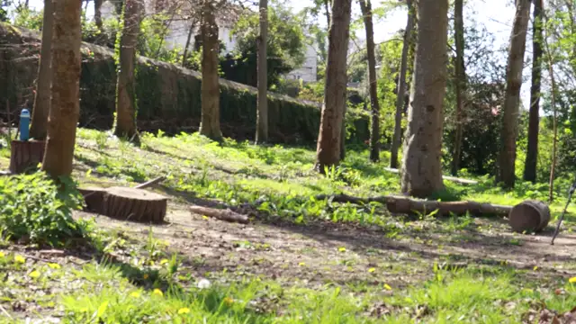 rehearsals (estes method and chase scene)