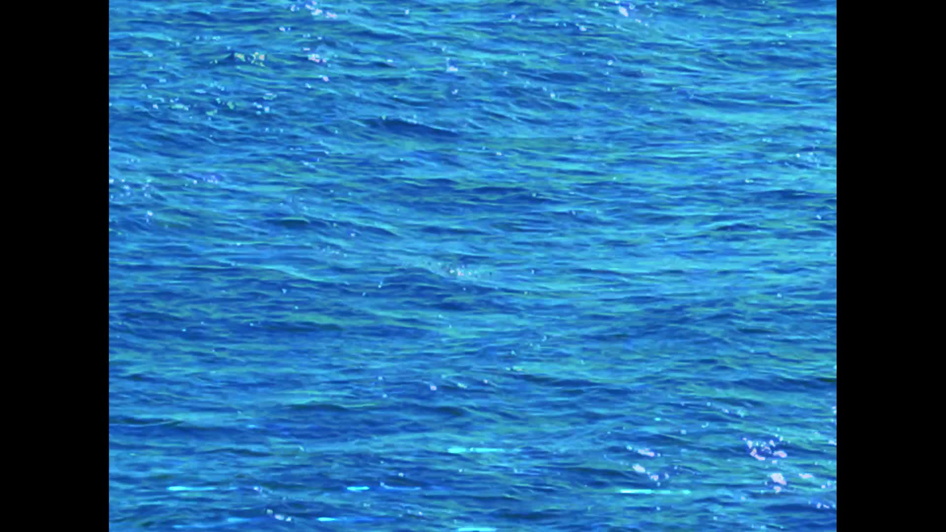 FMP Projection Video - Final