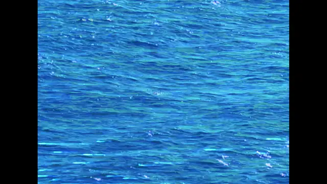 FMP Projection Video - Final