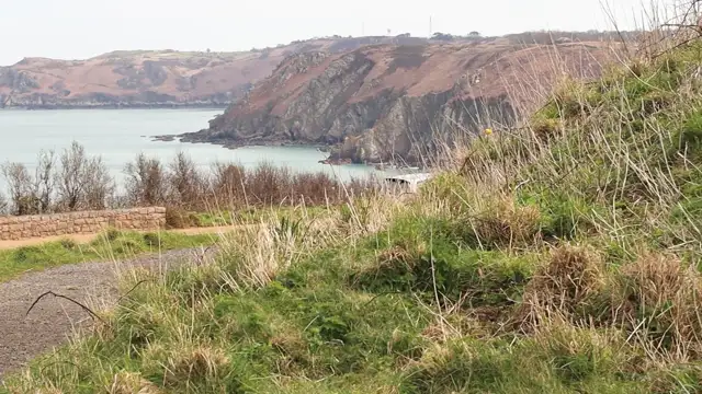 Revved Up Final edit