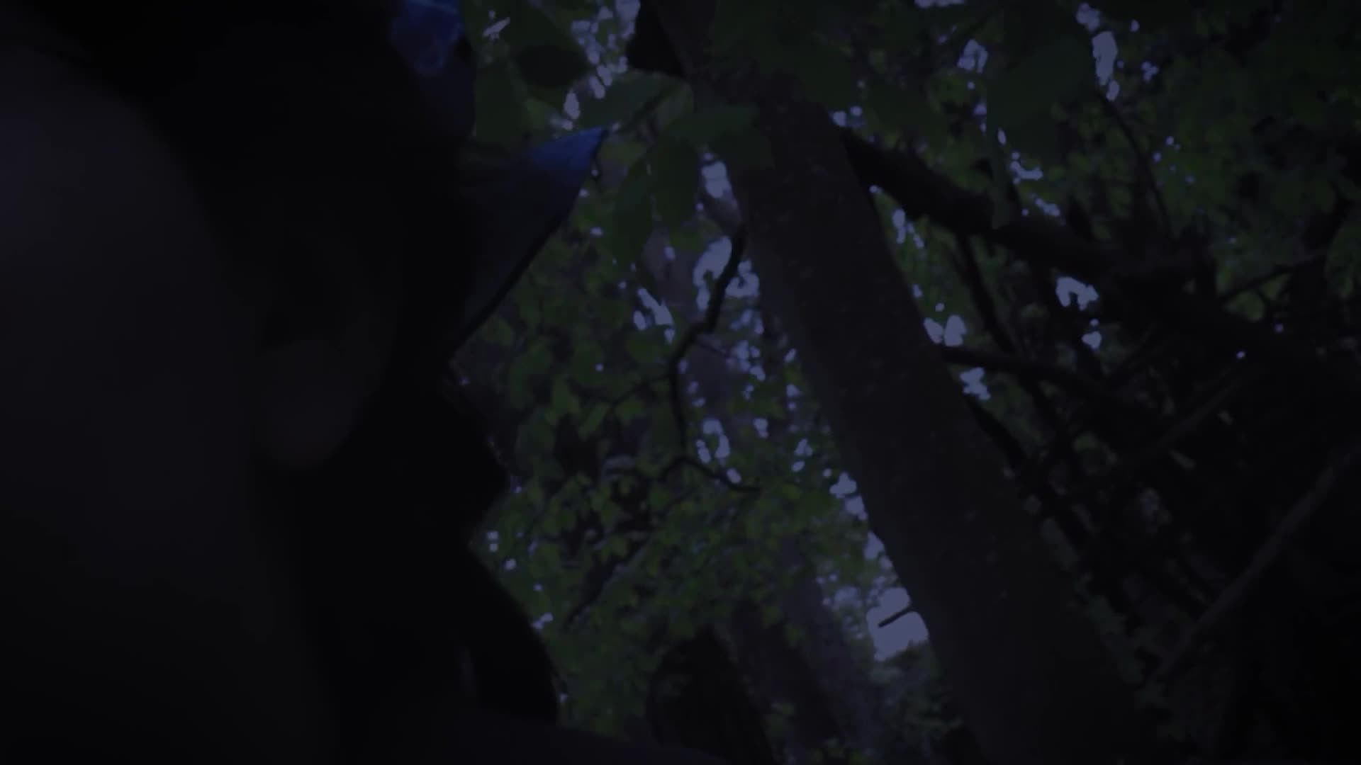 Through the veil loop