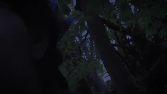 Through the veil loop