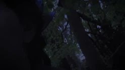 Through the veil loop