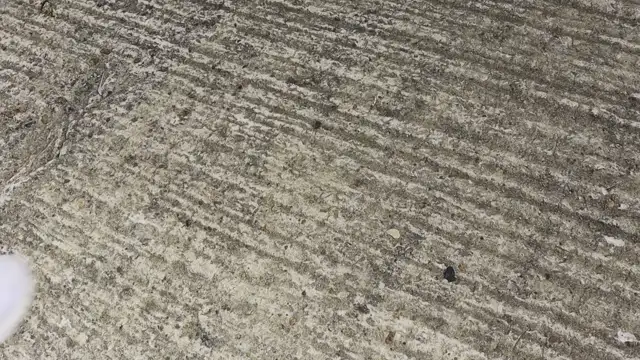 Daniel Finds A Gun (continuity)