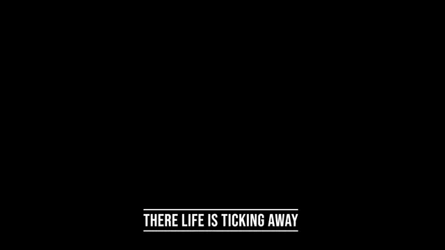 CONTINUITY 3 DAYZ  UPLOAD AVA BOURNE