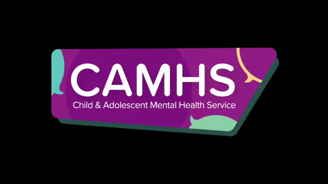 Camhs client brief meeting