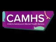 Camhs client brief meeting