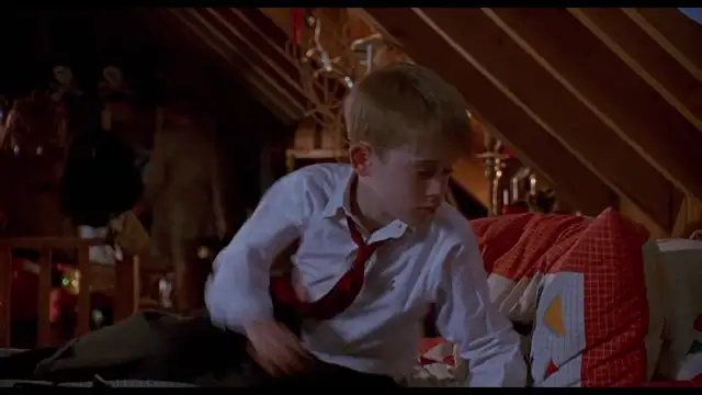 Home Alone 2 - Lost in New York (1992)