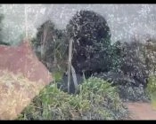 music vid - specialism