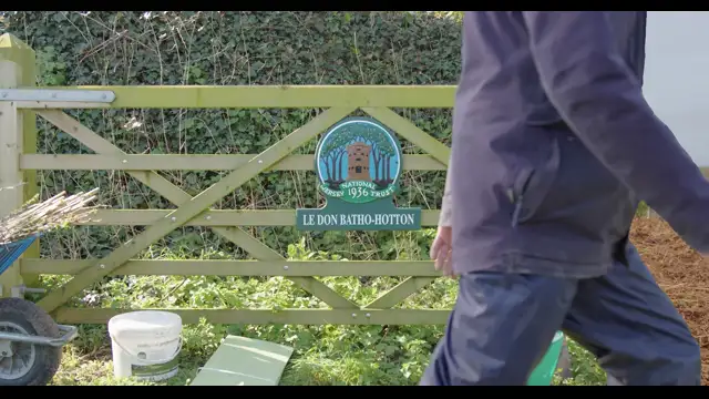 Greening Jersey Rotoscope Experiment