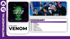 Stray Kids - VENOM (Official Instrumental)