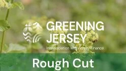 Greening Jersey Rough Cut