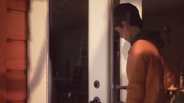The Curious Case of Life is Strange