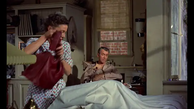 Rear Window (1954)