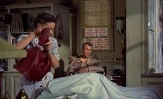 Rear Window (1954)