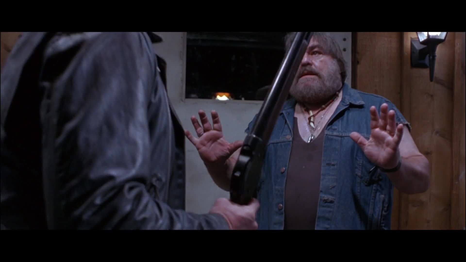 Terminator 2 Judgement Day (1981)